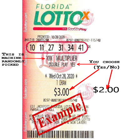 Florida Lotto Double Play sample tickets
